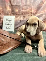 processed/fa0756e2-e158-4692-a28d-5a8df2053bf7/listing/f52321a1-dc62-49f1-883e-43dbf10b86cd/1c3ddd44-a2f3-4f60-9e91-64ad09e7c4a4