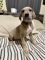 processed/fa0756e2-e158-4692-a28d-5a8df2053bf7/listing/f52321a1-dc62-49f1-883e-43dbf10b86cd/70a9495a-d9c1-44a6-81d0-272e8bdcec1b