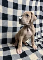 processed/fa0756e2-e158-4692-a28d-5a8df2053bf7/listing/f52321a1-dc62-49f1-883e-43dbf10b86cd/738d3321-160e-424b-ba60-1a24810b92b0