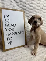 processed/fa0756e2-e158-4692-a28d-5a8df2053bf7/listing/f52321a1-dc62-49f1-883e-43dbf10b86cd/8036fe77-14dd-4f0a-a2d1-08f02cd5cfd9