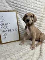 processed/fa0756e2-e158-4692-a28d-5a8df2053bf7/listing/f52321a1-dc62-49f1-883e-43dbf10b86cd/8c68e35d-59bc-4792-ab72-ee12dc959126