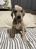 processed/fa0756e2-e158-4692-a28d-5a8df2053bf7/listing/f52321a1-dc62-49f1-883e-43dbf10b86cd/c09f2b41-9502-403a-8a03-e9581b8b0764