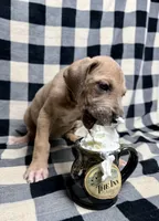 processed/fa0756e2-e158-4692-a28d-5a8df2053bf7/listing/f52321a1-dc62-49f1-883e-43dbf10b86cd/c32cda31-9215-4678-836f-4573900b5e58