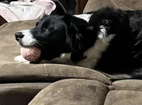 processed/fa0bf288-15ef-44e2-9724-0a90491fc915/facility/0a18b2f2-a3e1-4584-9437-780593177deb