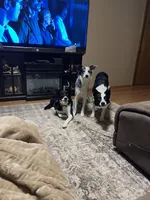 processed/fa0bf288-15ef-44e2-9724-0a90491fc915/facility/25a90536-949d-4ae3-a1b3-349b098499a3