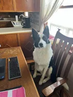 processed/fa0bf288-15ef-44e2-9724-0a90491fc915/facility/507951f0-180f-4980-95c5-06638cf59235