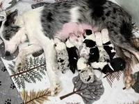 processed/fa0bf288-15ef-44e2-9724-0a90491fc915/facility/83476367-138b-46a2-a883-09e7bb302805