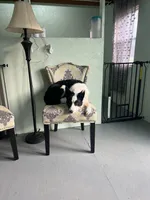 processed/fa0bf288-15ef-44e2-9724-0a90491fc915/facility/eb38e474-d783-46fb-a44c-3ba74466cd29