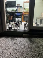 processed/fa0bf288-15ef-44e2-9724-0a90491fc915/facility/ec5eca6a-64b8-442d-aa21-935b43407585