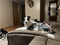 processed/fa0bf288-15ef-44e2-9724-0a90491fc915/facility/fa7a4262-c938-479b-95c3-d989103a5be4