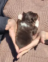 processed/fa220835-b770-4226-a2b8-c1b8432f4789/listing/6612963c-0295-4d9d-9e71-e42cf2f86cc1/116842a1-f8a2-473f-8d21-5f667feee5e1