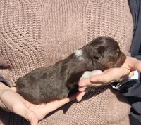 processed/fa220835-b770-4226-a2b8-c1b8432f4789/listing/6612963c-0295-4d9d-9e71-e42cf2f86cc1/4a40eb4d-fa28-40d9-9f0b-73d4b40eeb71