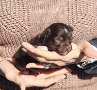 processed/fa220835-b770-4226-a2b8-c1b8432f4789/listing/6612963c-0295-4d9d-9e71-e42cf2f86cc1/922d9244-e286-4905-adec-4cab1c9b0315