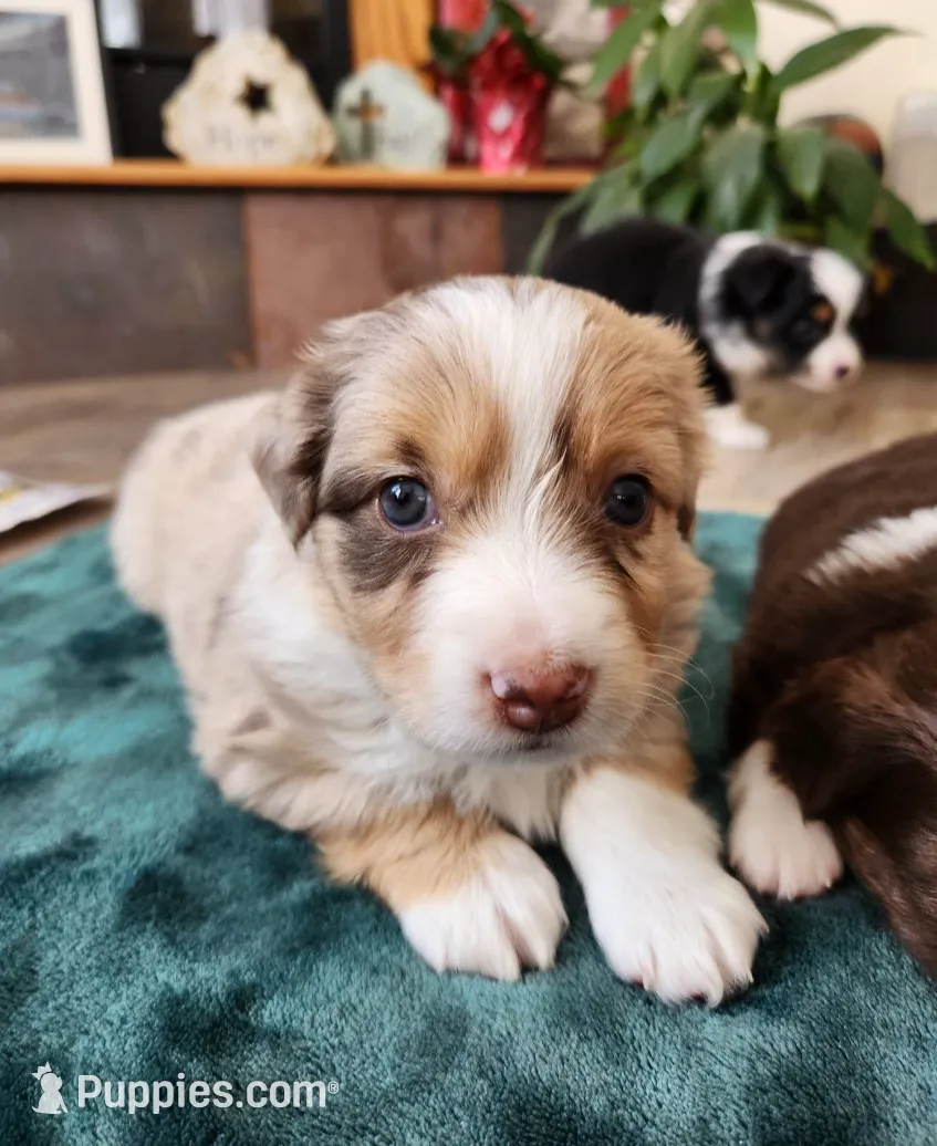 processed/fa220835-b770-4226-a2b8-c1b8432f4789/listing/c28a4772-a9de-4406-8d42-907bc9154709/16c41422-fb0e-4ab8-9a29-f37b04885ff0