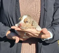 processed/fa220835-b770-4226-a2b8-c1b8432f4789/listing/c28a4772-a9de-4406-8d42-907bc9154709/572c2ea8-9149-4c64-a5bf-4dea01393d53