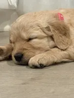 processed/fa222d06-3017-4163-a66d-bd620a24cb69/listing/0669189d-d108-4dc5-83c5-d314d5f995a7/b026ce6e-cd24-422a-ac01-18f2349c0687