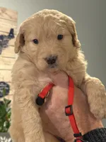 processed/fa222d06-3017-4163-a66d-bd620a24cb69/listing/791bf839-3962-4517-b461-fa77349a98fa/214e602a-bc74-4b4b-af7a-2bc296574e70