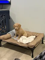 processed/fa222d06-3017-4163-a66d-bd620a24cb69/listing/791bf839-3962-4517-b461-fa77349a98fa/6e872743-6047-4bb4-b948-4e28e587f6ff