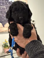 processed/fa222d06-3017-4163-a66d-bd620a24cb69/listing/ccc728e2-d46a-4a46-9f96-28e1a6b7b17a/7d65ef0e-e031-4994-933b-0e329bcf9159