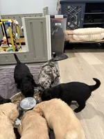 processed/fa222d06-3017-4163-a66d-bd620a24cb69/listing/ccc728e2-d46a-4a46-9f96-28e1a6b7b17a/91b224f5-39ca-4957-b331-7cb19c8094c8