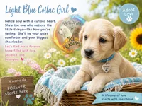 Lt Blue Girl , a female Golden Retriever for sale in Poughkeepsie, NY – 2 of 2