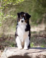 processed/fa3286e0-ef1d-4d08-b363-7f0bb21231cb/facility/06071524-3190-464d-ad8b-0369b7de0ba5