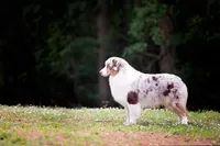 processed/fa3286e0-ef1d-4d08-b363-7f0bb21231cb/facility/14c43231-4aa2-4b22-aca5-81d76e6f2350