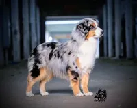 processed/fa3286e0-ef1d-4d08-b363-7f0bb21231cb/facility/1728dedc-cc03-42bb-a61c-04eb28a2cdfe