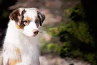 processed/fa3286e0-ef1d-4d08-b363-7f0bb21231cb/facility/a40ff7de-e9f0-4c7d-9d8a-d9a3f9bc7226