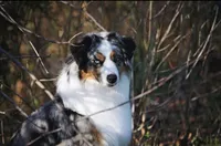 processed/fa3286e0-ef1d-4d08-b363-7f0bb21231cb/facility/ed75fc33-4bd3-483a-9a3b-b57956c47a83