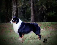 processed/fa3286e0-ef1d-4d08-b363-7f0bb21231cb/facility/fc6e5e3b-4268-48d8-867a-8ffaaeacd8c0