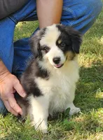 processed/fa3286e0-ef1d-4d08-b363-7f0bb21231cb/listing/04e60547-73fd-418b-b2f5-5890013be7c5/943dda3e-833f-472f-a2df-861cfbf2e402