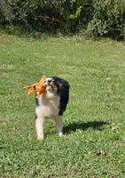 processed/fa3286e0-ef1d-4d08-b363-7f0bb21231cb/listing/04e60547-73fd-418b-b2f5-5890013be7c5/c07555dc-004b-4dda-8928-6f98661cd402