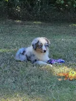 processed/fa3286e0-ef1d-4d08-b363-7f0bb21231cb/listing/0f5ffbb7-1f69-41d3-a5e2-cc2c602e53c9/a429c425-2dd3-4802-bb55-6239784c2d31