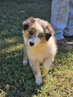 processed/fa3286e0-ef1d-4d08-b363-7f0bb21231cb/listing/8c05f590-1c93-4d2a-a664-6c744ca85355/036faaf9-3e48-4ba8-9e7d-13e540345857