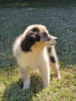 processed/fa3286e0-ef1d-4d08-b363-7f0bb21231cb/listing/8c05f590-1c93-4d2a-a664-6c744ca85355/2d3a4da8-69e5-42c4-9820-0b5b511da59a