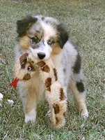 processed/fa3286e0-ef1d-4d08-b363-7f0bb21231cb/listing/8c05f590-1c93-4d2a-a664-6c744ca85355/665eb81e-c62e-43fe-abb1-9294d72ff26d