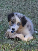 processed/fa3286e0-ef1d-4d08-b363-7f0bb21231cb/listing/8c05f590-1c93-4d2a-a664-6c744ca85355/ade8d8f9-aefc-4191-b691-c7196a6dcdec