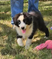 processed/fa3286e0-ef1d-4d08-b363-7f0bb21231cb/listing/9a822902-2357-4154-a0ff-ca6ddc3d8a3f/43c5bd29-a2eb-47df-bdf8-cb34cc01ce9f