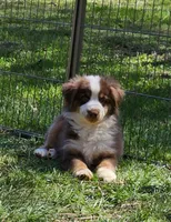 processed/fa3286e0-ef1d-4d08-b363-7f0bb21231cb/listing/b38f2e92-385e-48d9-8763-29ccc6aa268b/2d304a03-7ee1-4d61-a809-ad61225a79d1