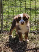 processed/fa3286e0-ef1d-4d08-b363-7f0bb21231cb/listing/b38f2e92-385e-48d9-8763-29ccc6aa268b/e01ed44d-f798-4cf2-90e4-fe69b247e799