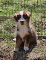 processed/fa3286e0-ef1d-4d08-b363-7f0bb21231cb/listing/b38f2e92-385e-48d9-8763-29ccc6aa268b/e8b9219f-30bb-4cfb-953a-01fc54cda66c