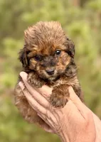 processed/fa3c2266-36ce-4083-bee0-a4d71f0b3e8f/listing/14f90027-d645-443e-b022-2eefc0caf2c5/2c8953ad-a94d-4174-aa8a-7d5b1b1771fa