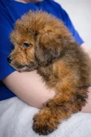 processed/fa3c2266-36ce-4083-bee0-a4d71f0b3e8f/listing/14f90027-d645-443e-b022-2eefc0caf2c5/c88a48f3-dc80-4130-80fe-c8cd217da797