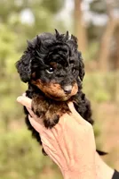 processed/fa3c2266-36ce-4083-bee0-a4d71f0b3e8f/listing/2c560607-f5bd-4a82-a84c-5b266cd9ae03/0639956d-cd81-4144-8eb7-ab70b9ff1d94