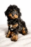 processed/fa3c2266-36ce-4083-bee0-a4d71f0b3e8f/listing/2c560607-f5bd-4a82-a84c-5b266cd9ae03/a87c2d4e-ddfc-49e8-8e27-32a3d24d6a0a