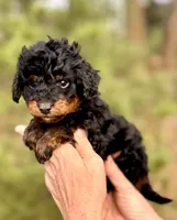 processed/fa3c2266-36ce-4083-bee0-a4d71f0b3e8f/listing/2c560607-f5bd-4a82-a84c-5b266cd9ae03/ef502c64-5b3d-49f4-8110-8c8cf5db38cb