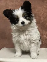 processed/fa479290-66bc-4127-a08e-bc0b2c5ea0d1/facility/942a4d3f-ba2a-4f13-83bf-82f23b026c93