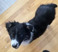 processed/fa5739ab-f2a5-4943-9ce8-2e5ba1d81e85/listing/114cb801-97f2-4223-861f-e13b46a0eba7/040c1155-80d8-43a9-b716-f76a0c1537bd