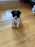 processed/fa5739ab-f2a5-4943-9ce8-2e5ba1d81e85/listing/114cb801-97f2-4223-861f-e13b46a0eba7/25226384-2894-449d-a9ed-8ecea7898ea6